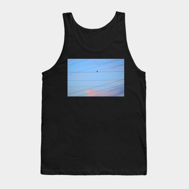 Crested Cloud, Wires and Bird Tank Top by LaurieMinor